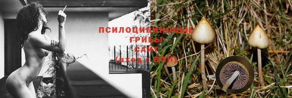ГАЛЛЮЦИНОГЕННЫЕ ГРИБЫ Баксан