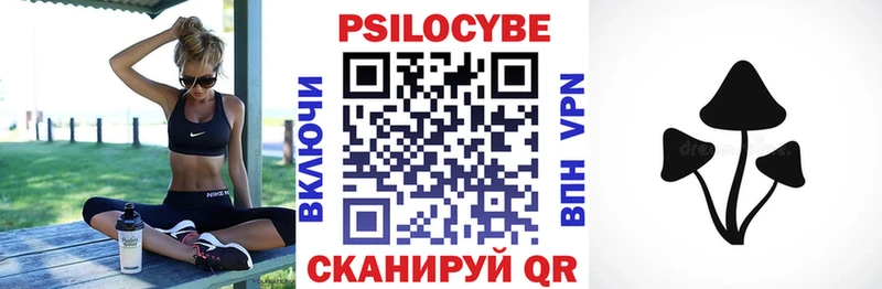 Галлюциногенные грибы Cubensis как найти закладки Гремячинск